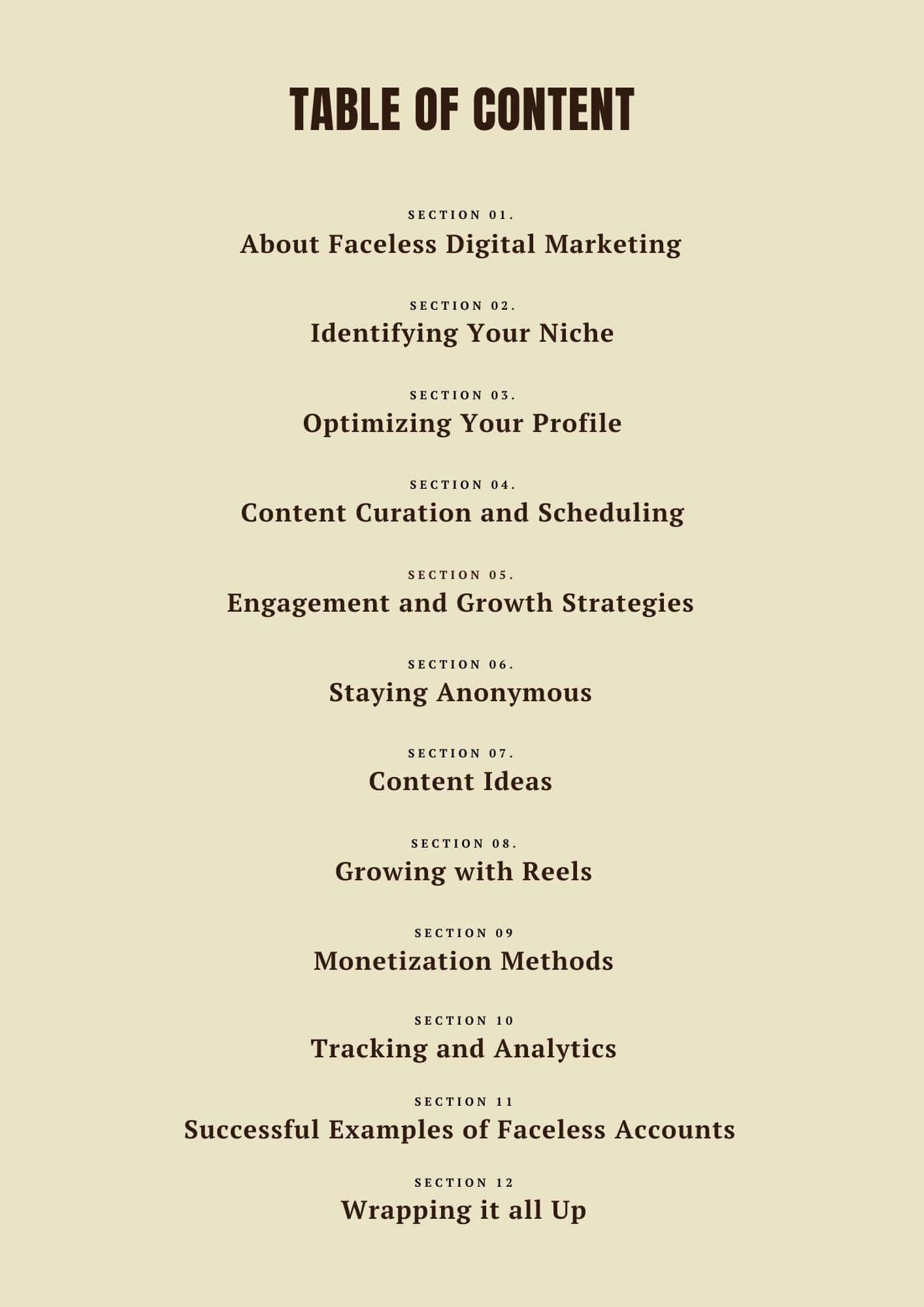 Faceless Digital Marketing Guide - Zen Digital Vibe