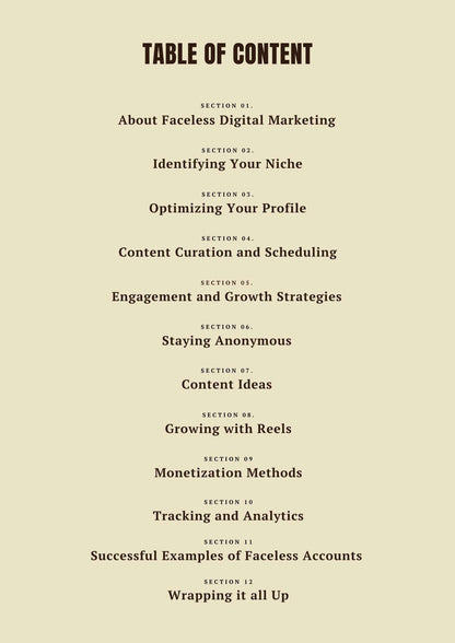 Faceless Digital Marketing Guide - Zen Digital Vibe