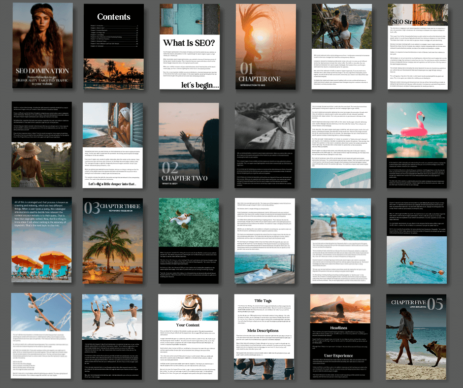 SEO Domination - The Ultimate Guide to High-Quality Targeted Traffic - Zen Digital Vibe